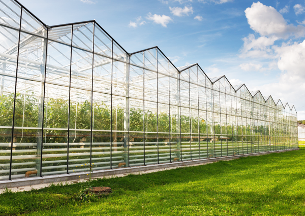 關于我們廣告 關于我們廣告