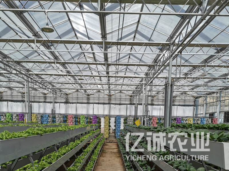 一畝溫室大棚造價多少錢? 一畝溫室大棚造價多少錢?