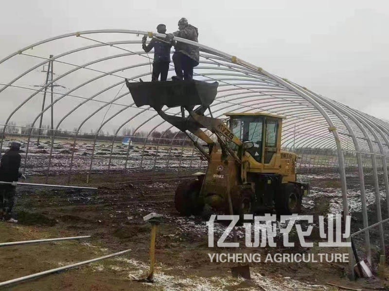 養殖溫室大棚施工現場