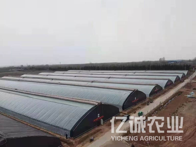 連棟溫室大棚廠家