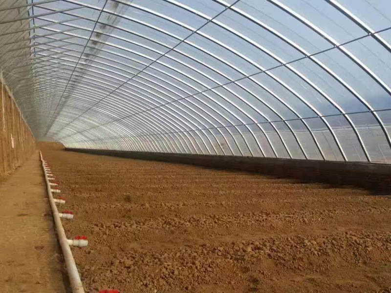 薄膜連棟溫室大棚造價 薄膜連棟溫室大棚造價