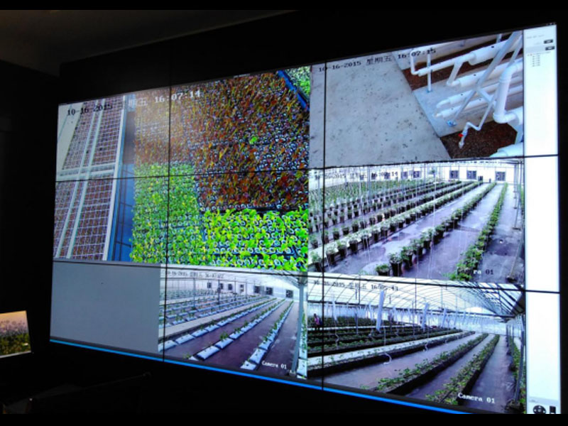 溫室大棚智能控制系統